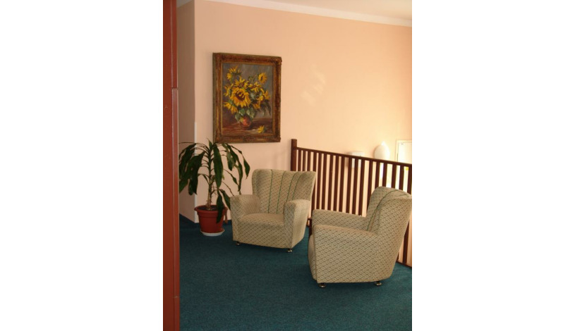 Hotel Domovina Špindlerův Mlýn